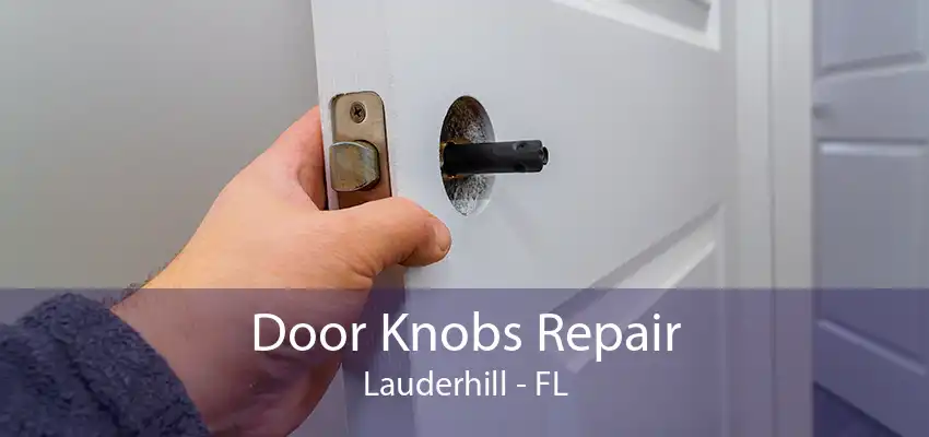 Door Knobs Repair Lauderhill - FL